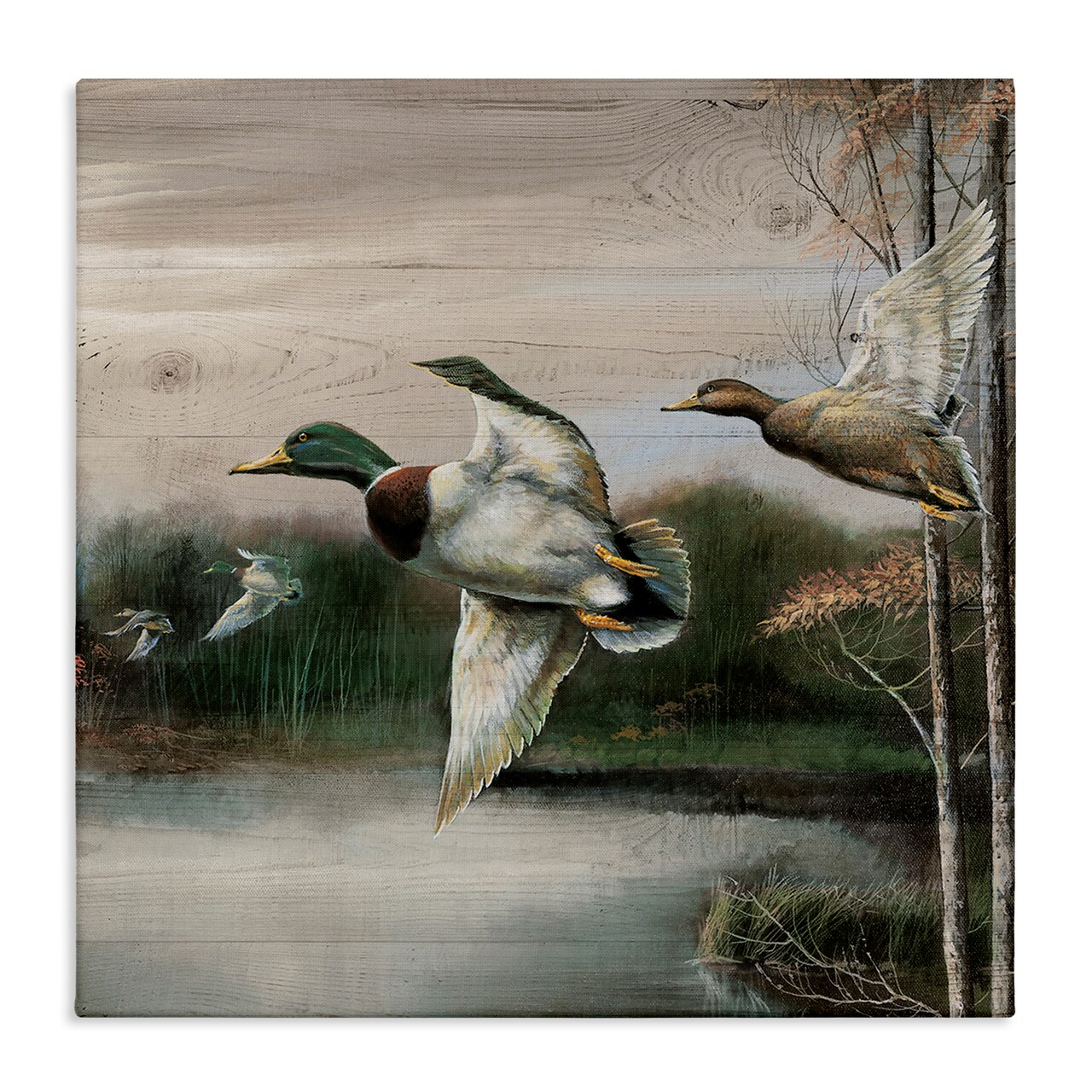 Stupell Industries Flying Ducks in Rustic Nature Canvas Design by Ruane Manning